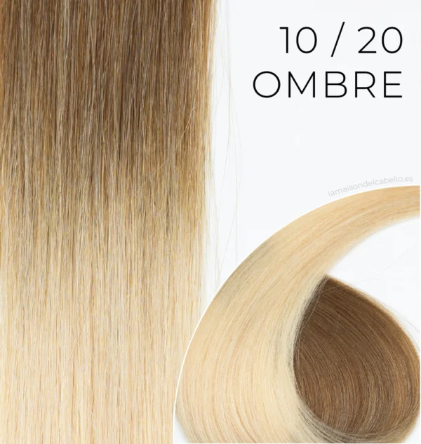 Adhesivas Premium Ombre y Rooted | SEISETA | 10/20